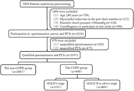 Image result for COPD Staging