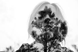 TEXAS PHOTOGRAPHIC SOCIETY | Double Your Creativity