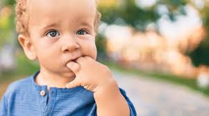 Black Hills Family 2 by Evergreen Media