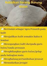 Minuman sarang burung ini bukan sahaja baik untuk kulit, malah banyak lagi kebaikkan yang perlu anda tahu. Sarang Burung Walet Premium Adalah Serum Bne Aviqah Facebook