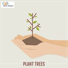 Plant A Tree Importance Of Trees They Provide Us Fruits They Provide Us Medicine Adds Oxygen Reduces Erosion Trees To Plant Tree Designs Growing Tree