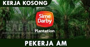 Pegawai perkhidmatan pendidikan sizwazah gred 41. Kerja Kosong Sabah 2020 Pekerja Am Perladangan Kekosongan 270 Jawatan Kosong Terkini Negeri Sabah