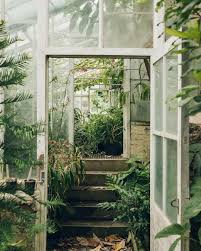 25 Lush Secret Gardens Glasshouses Greenhouses Greenhouse Plants Indoor Plants