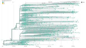 B117 has acquired a relatively high number of 23 mutations in its genetic code, with some potentially affecting the ability of the virus to spread. Detection Of Non B 1 1 7 Spike 69 70 Sequences B 1 375 In The United States Ncov 2019 Genomic Epidemiology Virological