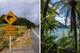 It has been described variously as a submerged continent, a continental fragment, a microcontinent, and a continent. Nach Neuseeland Reisen Ein Erlebnisbericht Und Viele Tipps