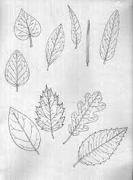 Pin On Journal Nature