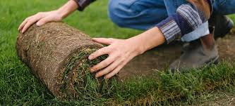 Turf Potty Pads For Puppy Pet Pee Training - Coziwow