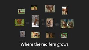 where the red fern grows compare and contrast by tyler nalty