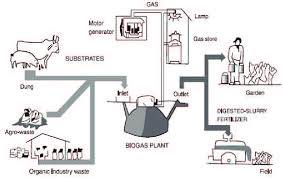 Biogas Power Plant Design Pdf Famba 2,974 likes · 13 talking about this. famba
