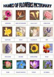 We did not find results for: Flowers Worksheets