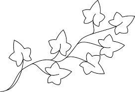 Some of the coloring page names are 19 grapes coloring in vector format easy to from any device and, grapes coloring, grapes coloring for kids color luna, grape simple fruits easy coloring for toddlers, thrives grapes plant coloring thrives grapes plant coloring color luna, flower vine coloring at colorings to and color, grapes coloring. Top 10 Printable Vines Coloring Pages