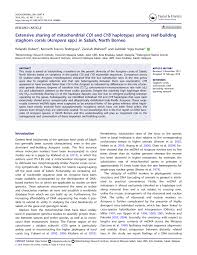 Browse expedia's selection of {location.lodging.hotelcount} 1.2 mi from borneo marine research institute. Pdf Extensive Sharing Of Mitochondrial Coi And Cyb Haplotypes Among Reef Building Staghorn Corals Acropora Spp In Sabah North Borneo