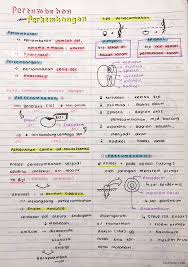 Materi biologi kelas 12 semester 1. Yun On Twitter ð™˜ð™–ð™©ð™–ð™©ð™–ð™£ ð™—ð™žð™¤ð™¡ð™¤ð™œð™ž ð™ ð™šð™¡ð™–ð™¨ 12 Dirangkum Dr Berbagai Sumber Go Campbell Zenius Etc