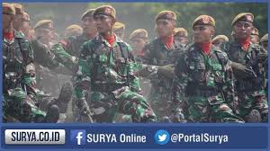 Pendaftaran Bintara Tni Ad Masih Dibuka Sila Cek Jadwal Syarat Dan Kelengkapan Dokumen Di Sini Tribun Medan