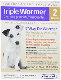 Looking for how to treat roundworms in dogs? Puppies Pooping Worms Symptoms Causes Treatments Guide