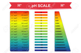 Ph Scale Chart With Corresponding Hydrogen Ion Concentration
