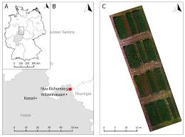 Join researchgate to find the people and research you need to help your work. Agronomy Free Full Text Biomass Prediction Of Heterogeneous Temperate Grasslands Using An Sfm Approach Based On Uav Imaging Html