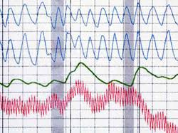 Tagalog Polygraph Lie Detection Los Angeles Filipino