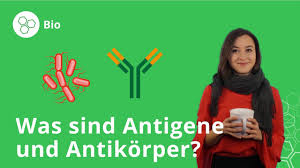 Antigene Und Antikorper Was Ist Das Und Wozu Braucht Man Sie Biologie Duden Learnattack Youtube