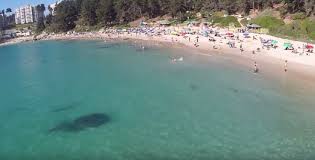 Playa El Canelo Chileplayas