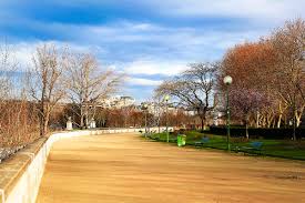 خطوة وحيدة تفصل جالاردو عن الانضمام إلى الهلال. The Eiffel Tower An Architectural Wonder In Paris
