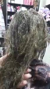 اعشاب الطبيعه شلونكم حبايب هاذه المنتج الكوري الاصلي