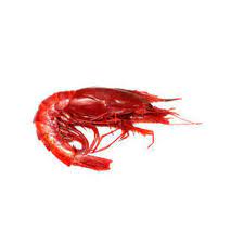 Erteilung oder widerruf von einwilligungen, klicken sie hier: Carabineros U 10 Rote Garnelen Tiefgefroren 400 G I Hier Bestellen