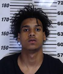 Drive-by News Release: On June 10, 2024, the Gulfport Police Department  arrested the following suspects: *D'Andre Joshua Willis, 17, was charged  with four counts of Drive-By Shooting. * ﻿﻿Jeremy LaCarl D'Wayne Myles,