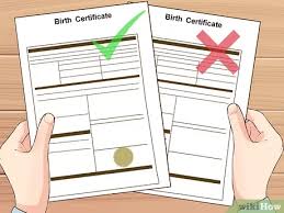 Layouts capture the actual certificate structure and format, seal placement, signature count and more of. How To Report A Fake Birth Certificate 10 Steps With Pictures
