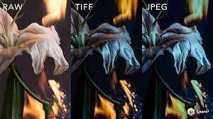 New Course Artistic Portrait Photography Jingna Zhang Fashion Fine Art Beauty Photography