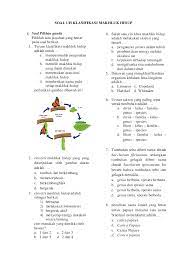 Contoh Soal Klasifikasi Makhluk Hidup Kelas 7 Dapatkan Contoh