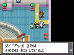 Pokemon Heart Gold Soul Silver Starter Pokemon