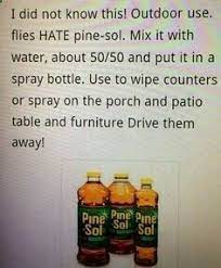 Pin By Peggy Thornton On Ingredient Uses Stain Removers Cleaning Hacks Helpful Hints Cleaning