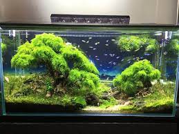Pin On Scape