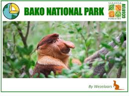 Bako national park / taman negara bako. Gc6r1jv Bako National Park Earthcache In Malaysia Created By Wezelaars