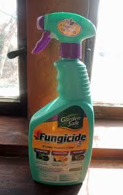 Types Of Fungicide Using Fungicides In Your Garden Fungicide Garden Gardening Tips