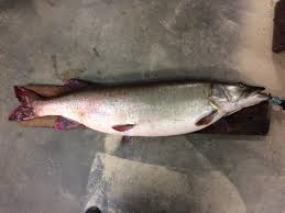 Larry Heim caught himself...