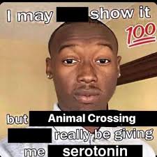 Welcome To Aminal Crossing On Instagram Felt Like Featuring Other People S Memes This One Is From Nooksdebtcollec Funny Memes Stupid Memes Current Mood Meme