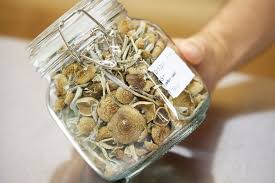 Image result for Psilocybin