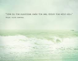 Maybe you would like to learn more about one of these? Buy Ocean Quotes Short Cheap Online