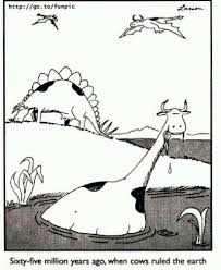 Far Side Cartoons For Your Lazy Saturday Life The Far Side Gallery Far Side Cartoons The Far Side