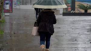 As agradáveis cores acalmam os sentidos com verdes luxuriantes sobre o resplandecente azul do mar — a marca característica dos subtrópicos. Iwvcldsszly Dm