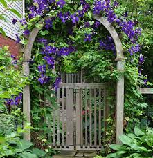 Check spelling or type a new query. Ideas For A French Country Garden Windowbox Com Blog