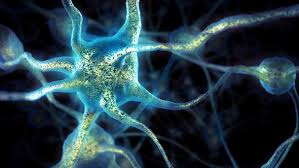 Multiple sclerosis is a chronic disease that affects the central nervous system, which is the brain, spinal cord, and optic nerves. Multiple Sklerose Autoimmunerkrankung Mit Vielen Gesichtern Br Wissen