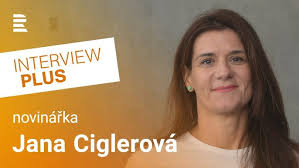 Image result for animovan  p%u0159 n  k narozenin m