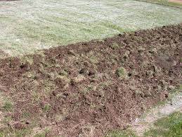 Pack beds or allow them to settle before planting. Preparing A Vegetable Garden Site Extension