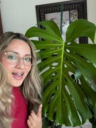 My cactus is ✨️ thriving ✨️