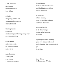 Pin By Rachel On Mary Oliver Poems Quotes Mary Oliver Mary Oliver Poems Poems
