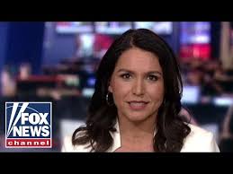 Image result for gabbard on fox news