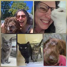 Pet sitting services available in Durbanville